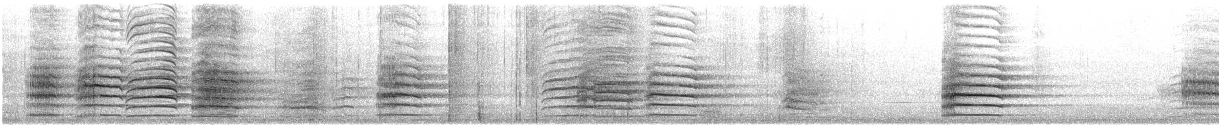 Red-tailed Black-Cockatoo - ML646870386