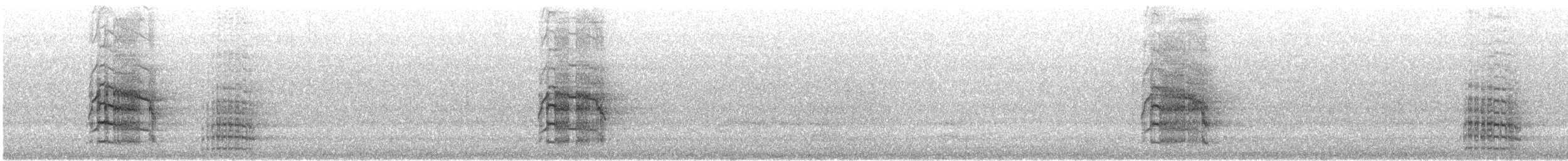 Red-tailed Black-Cockatoo - ML646870387