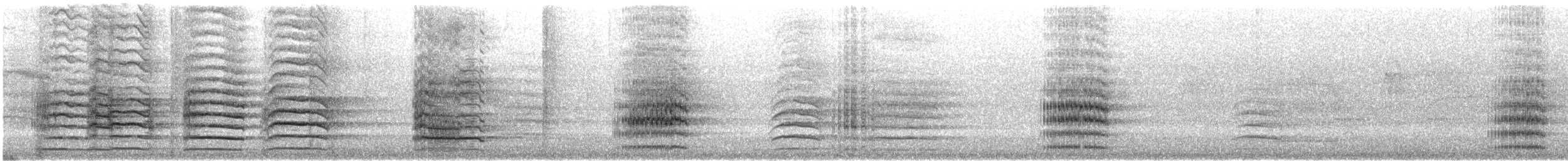 Red-tailed Black-Cockatoo - ML646870388