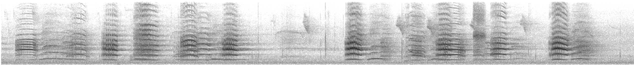 Red-tailed Black-Cockatoo - ML646870389