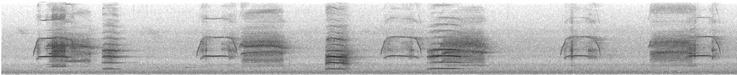 Red-tailed Black-Cockatoo - ML646870390