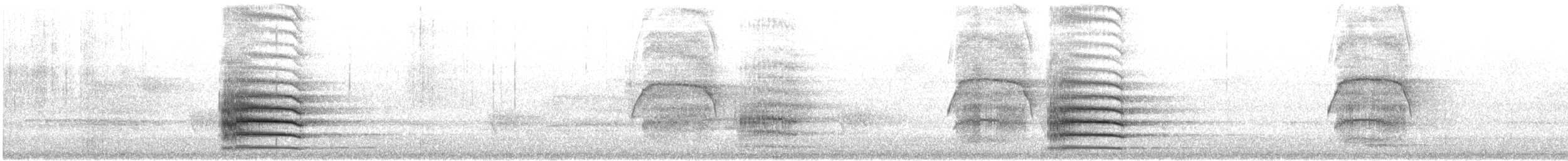 Red-tailed Black-Cockatoo - ML646870391