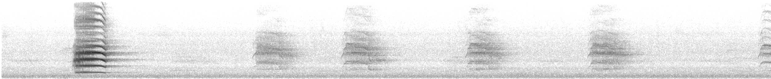 Red-tailed Black-Cockatoo - ML646870392