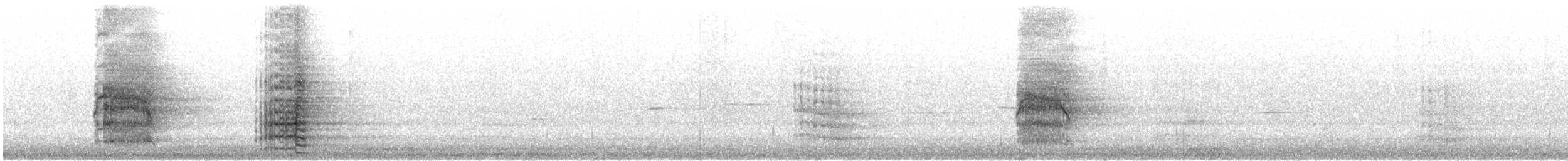 Red-tailed Black-Cockatoo - ML646870393