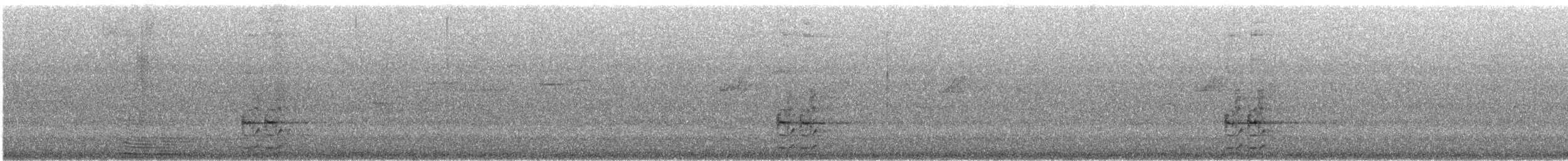 Western Rosella - ML646870420