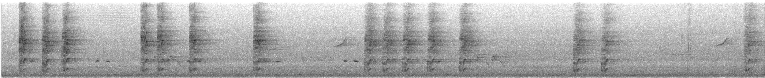 Western Rosella - ML646870421