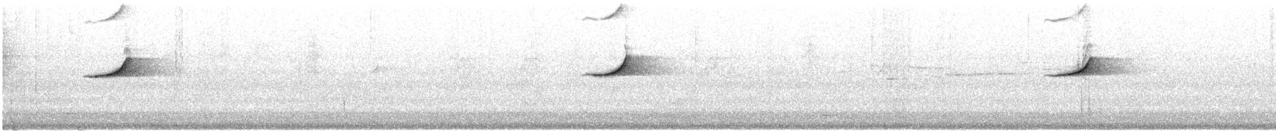 Golden Whistler (Western) - ML646870439