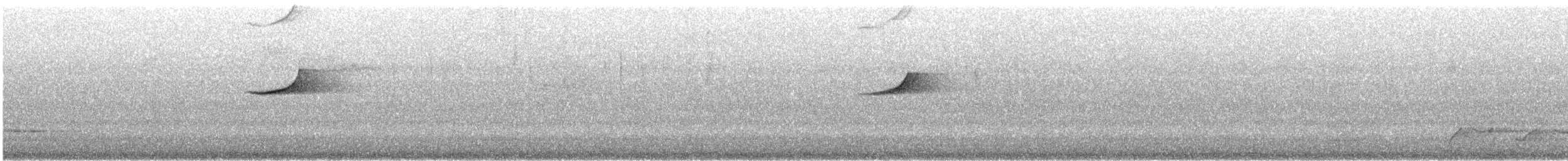 Golden Whistler (Western) - ML646870440