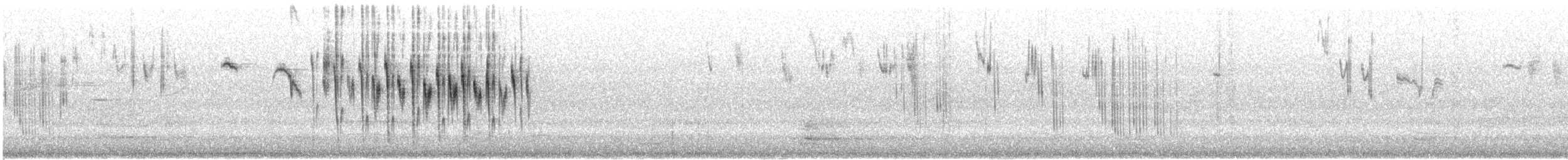 Red-winged Fairywren - ML646870448