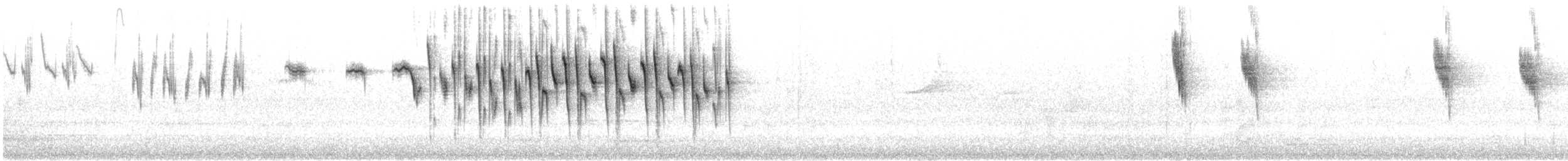 Red-winged Fairywren - ML646870449