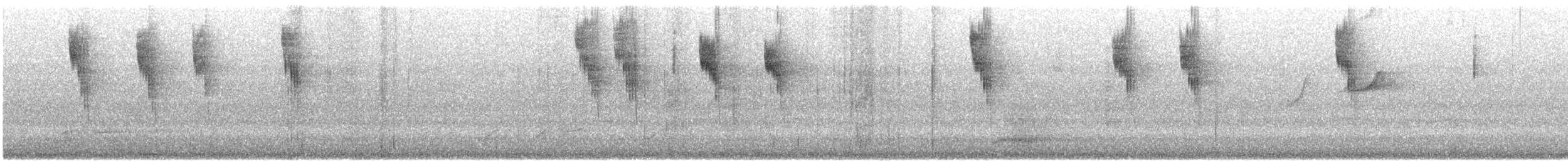 Red-winged Fairywren - ML646870450