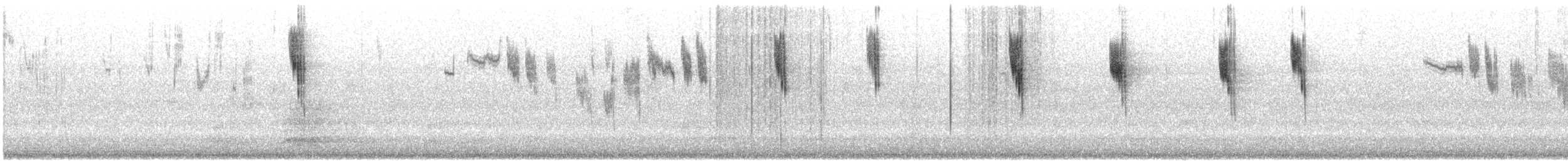 Red-winged Fairywren - ML646870451