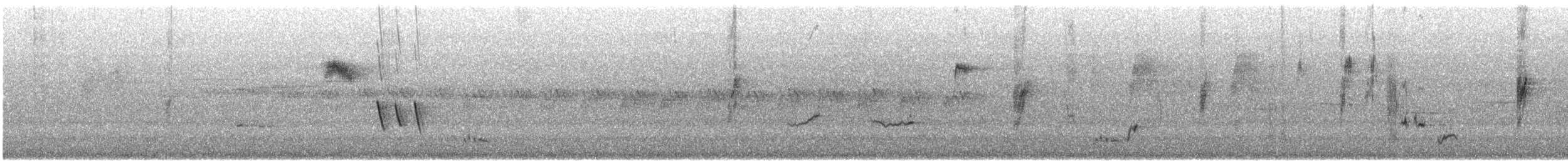 Inland Thornbill - ML646870455