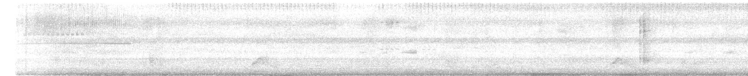 Common Pauraque - ML646870697