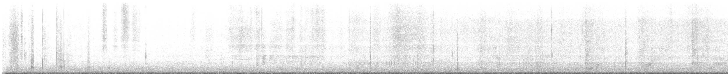 Western Grebe - ML646870721