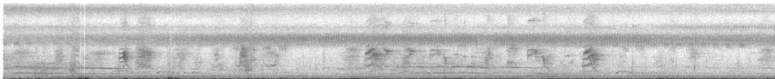 Malay Sığırcığı - ML646870782