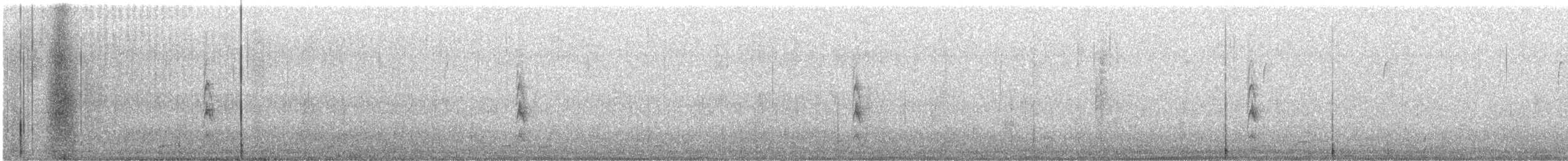 Chingolo Cantor - ML646870834