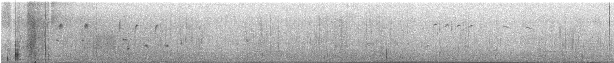 Chingolo Cantor - ML646870839