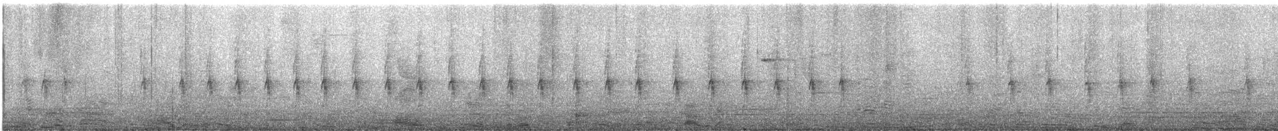 langstjertskredderfugl - ML646871607