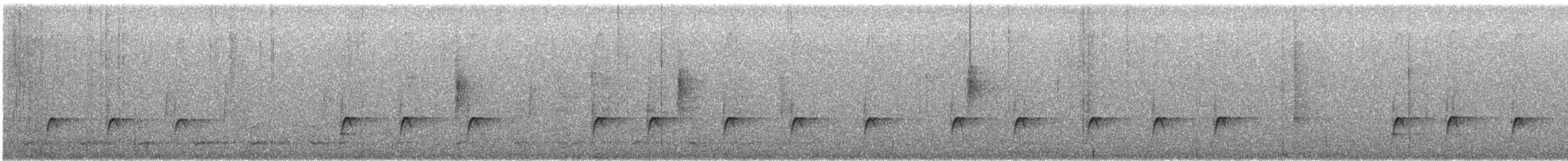 Greater Pewee - ML646871624