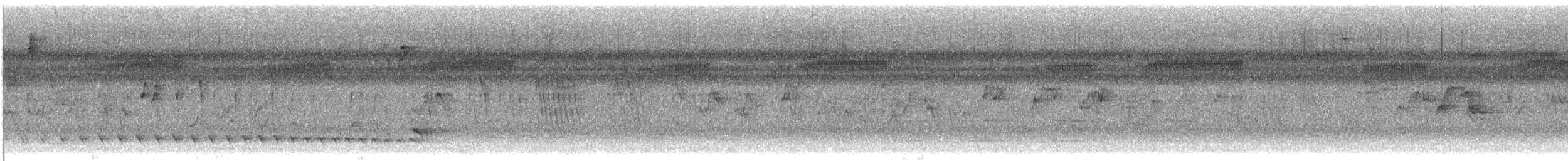 シマアリモズ - ML646871692