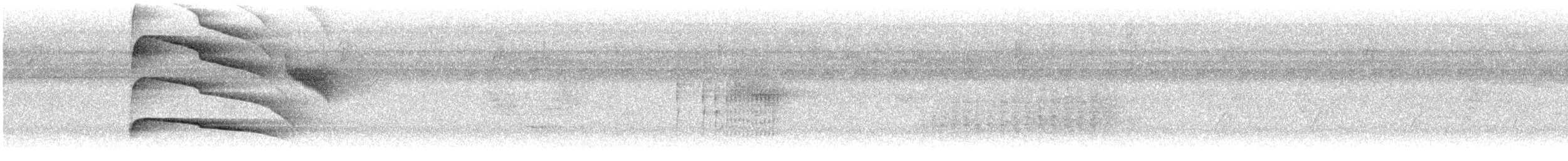 Gray-lined Hawk - ML646871904