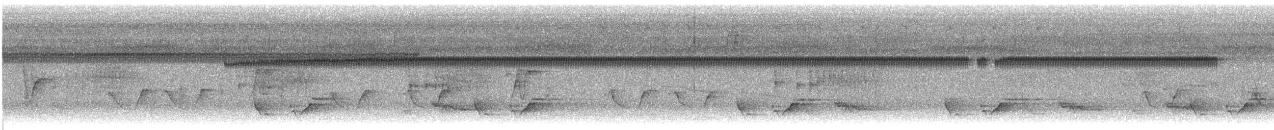 Black-bellied Wren - ML646872333