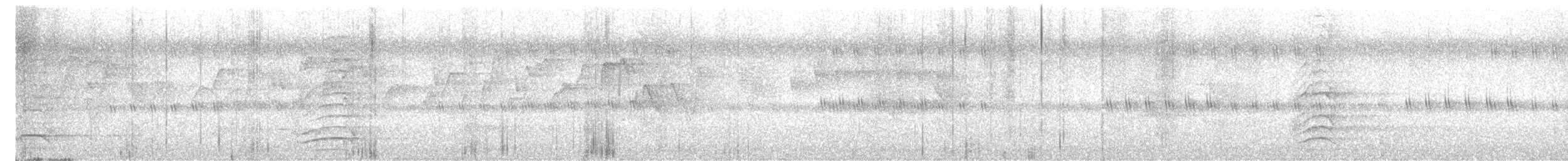 Malabar Gray Hornbill - ML646872399