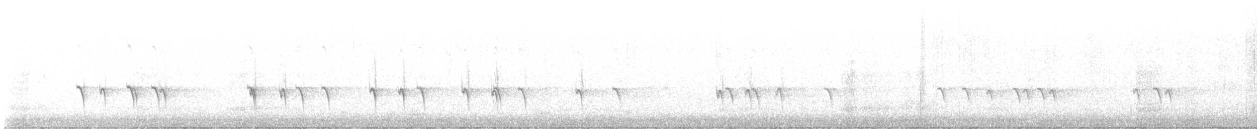 Mokoker arrunta - ML646872466