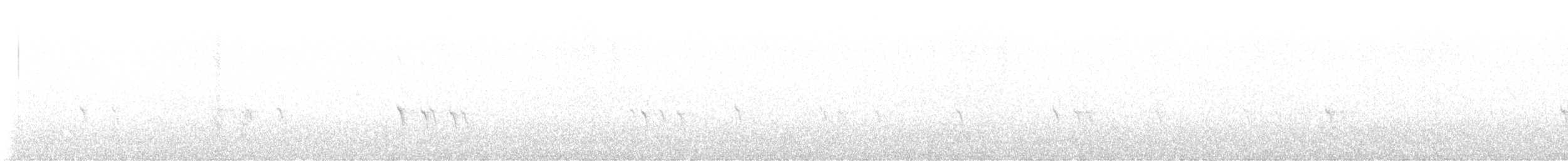 Mokoker arrunta - ML646872699