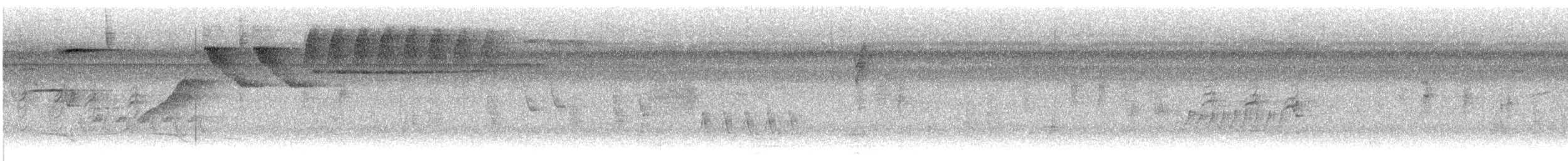 Slate-colored Seedeater - ML646872897