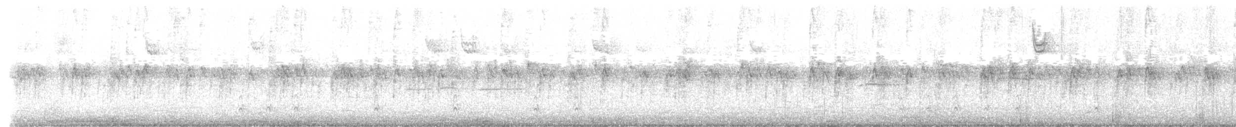 White-throated Sparrow - ML646873075