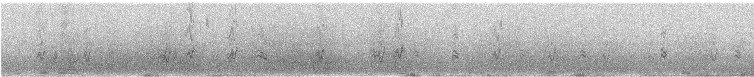 House Finch - ML646873325