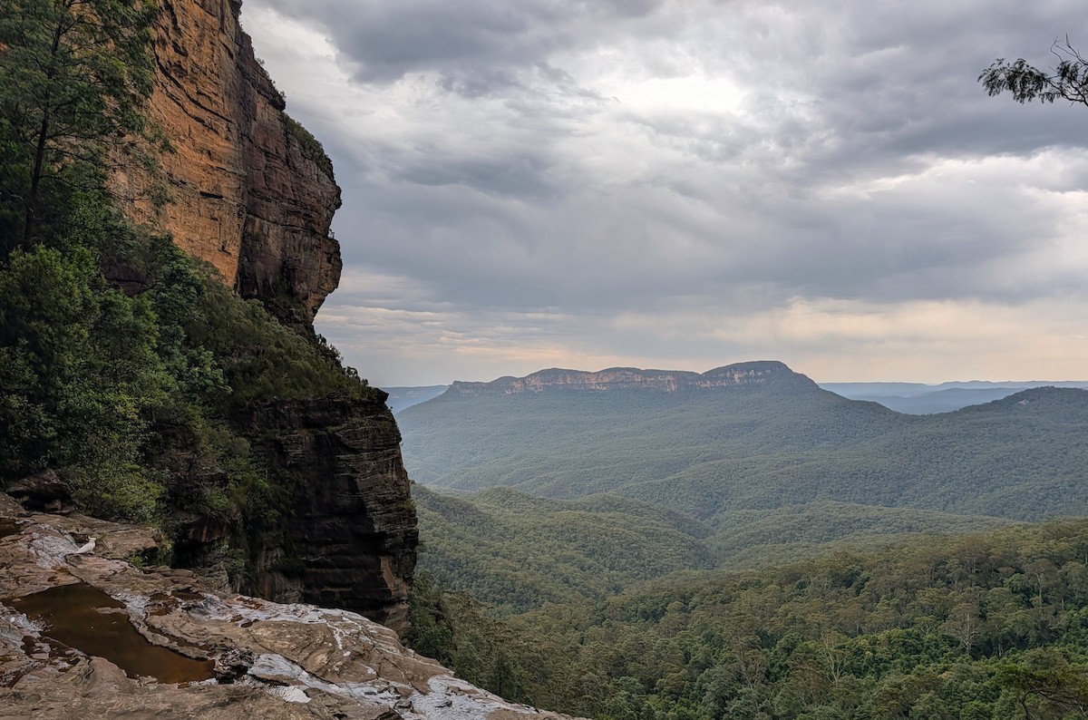 Sulphur-crested Cockatoo - ML646873425