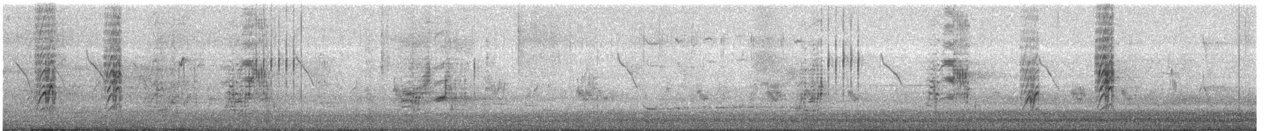 Eastern Red-rumped Swallow (Striated) - ML646873556