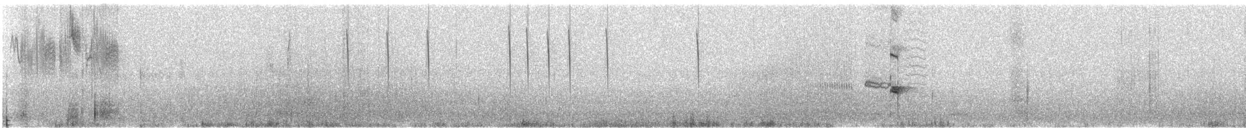 Anna's Hummingbird - ML646873587