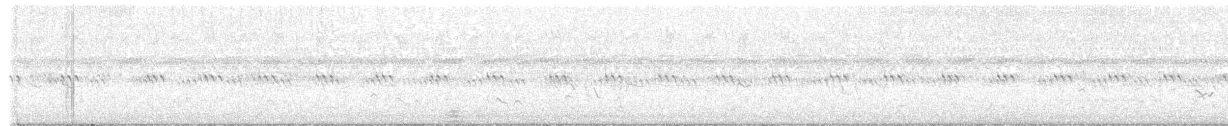 American Golden-Plover - ML646873661