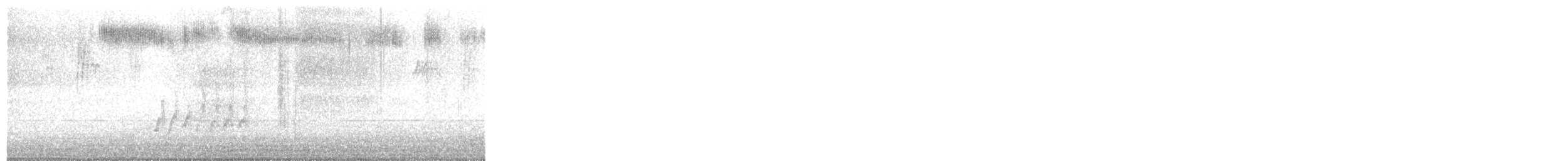 Rufous Hummingbird - ML646873736