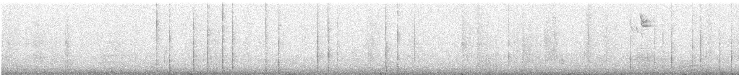 Downy Woodpecker - ML646873789