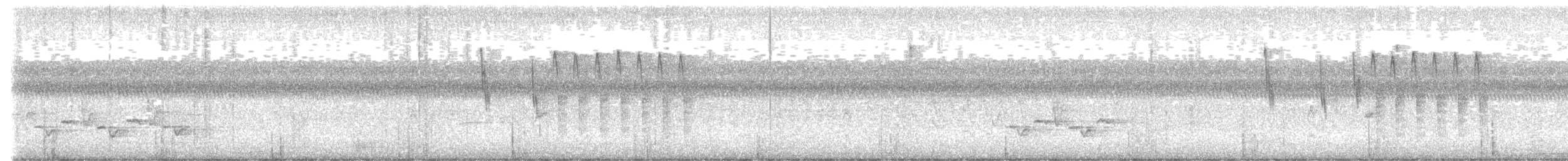 Sedge Wren - ML646874097