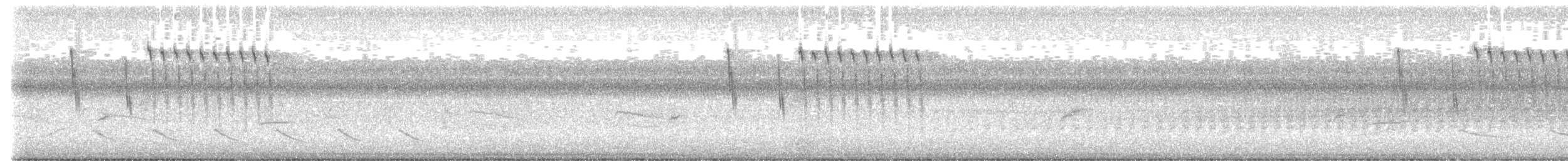 Sedge Wren - ML646874099