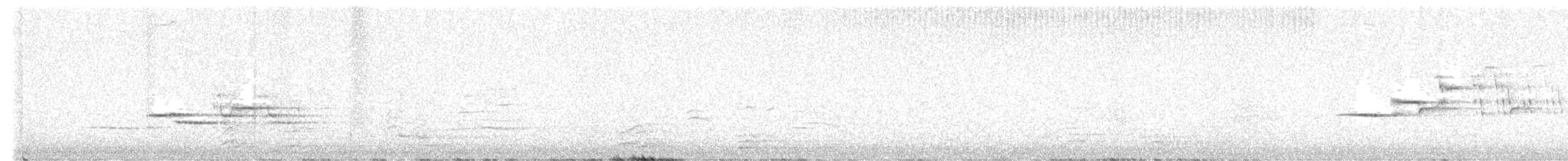 Hermit Thrush - ML646874193