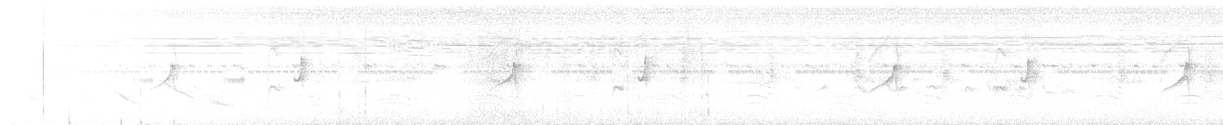 Gray-bellied Spinetail - ML646874625