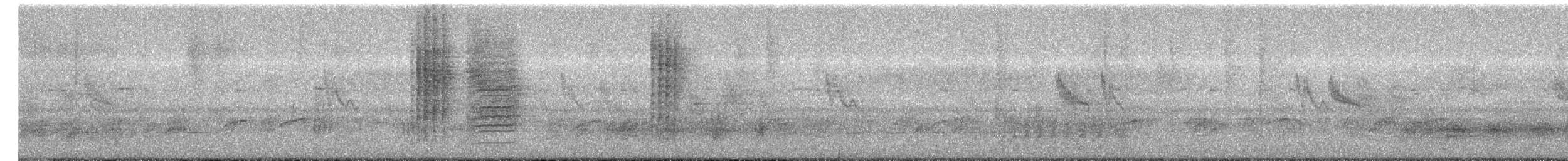 White-bellied Erpornis - ML646874737