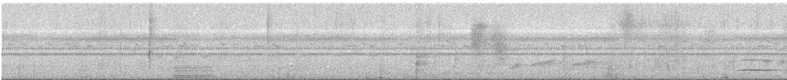 Gray-capped Pygmy Woodpecker - ML646874898