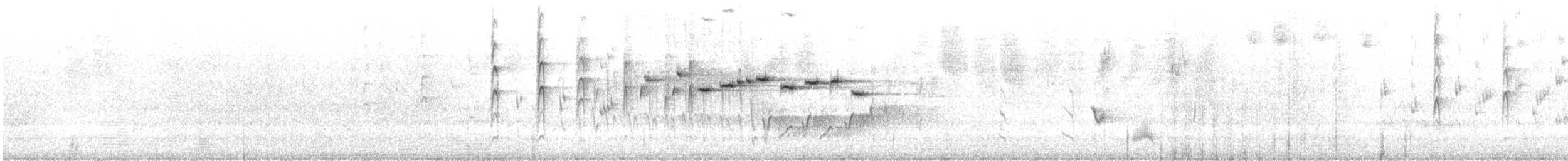 Серая веерохвостка (preissi) - ML646874943