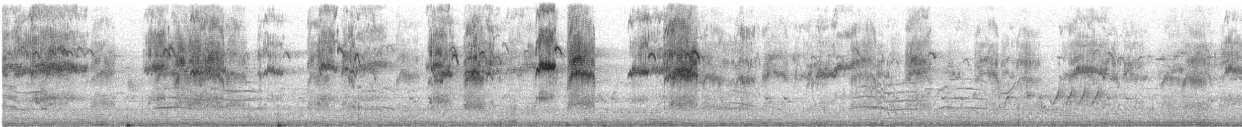 Венценосный лорикет - ML646874951