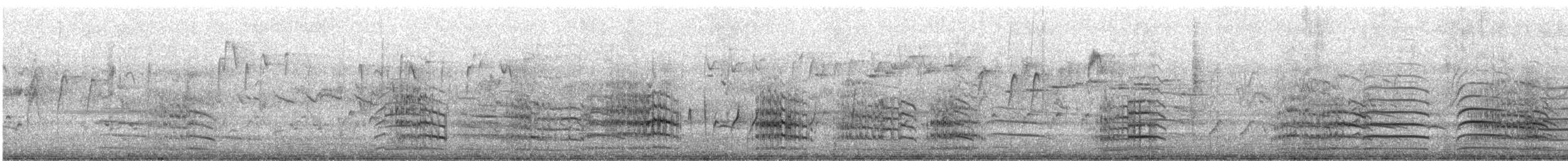 Краснохвостый траурный какаду - ML646874964