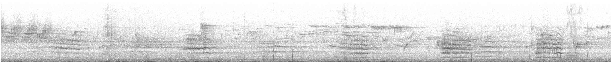 Краснохвостый траурный какаду - ML646874965