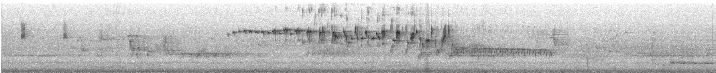 Элегантный малюр - ML646874983